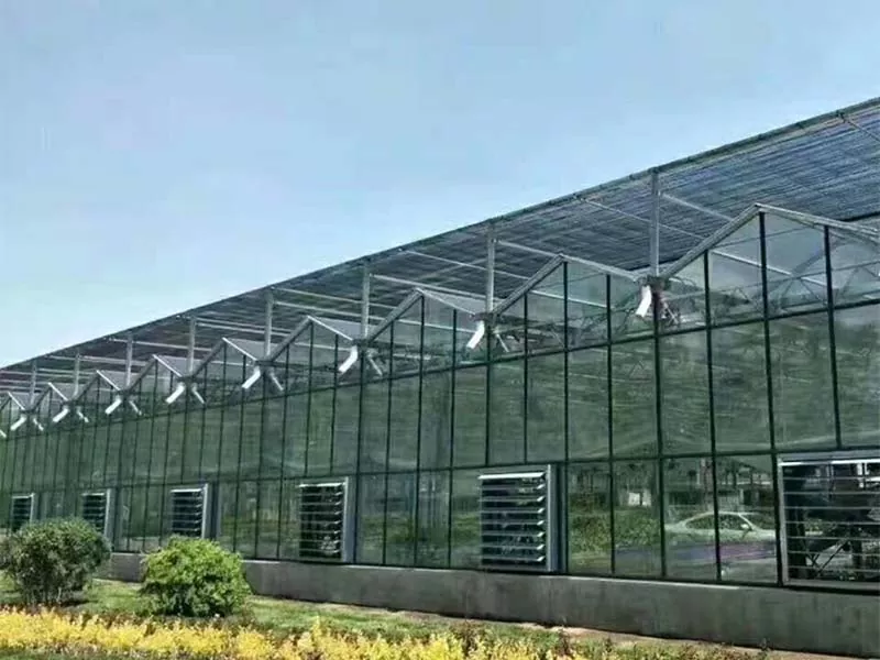 Qu’est-ce qui fait de la ferme verticale en acier l’avenir de l’agriculture durable ?