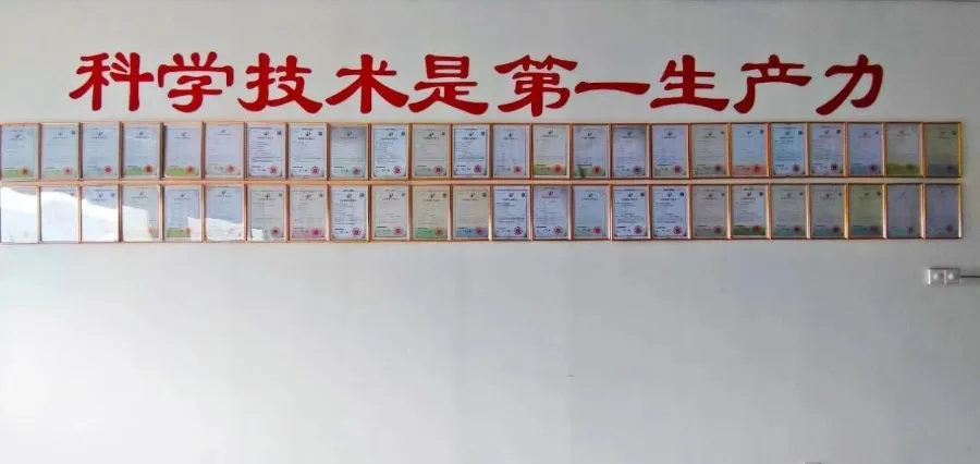 D'où vient la « compétitivité de base » d'Eihe Steel-Structure, qui se classe au premier rang parmi ses pairs de Qingdao ?